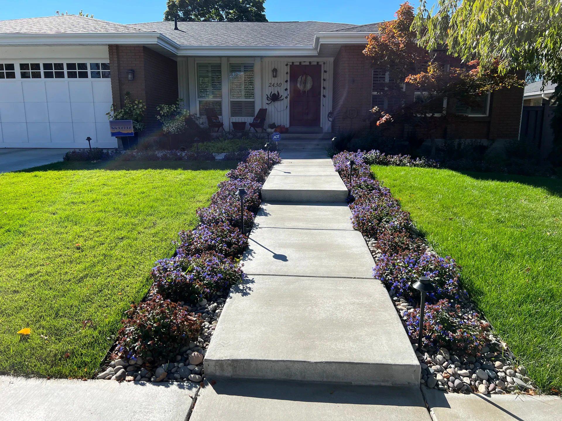 Straight concrete walkway through BioGrass sod and planted beds at a Millcreek front entry