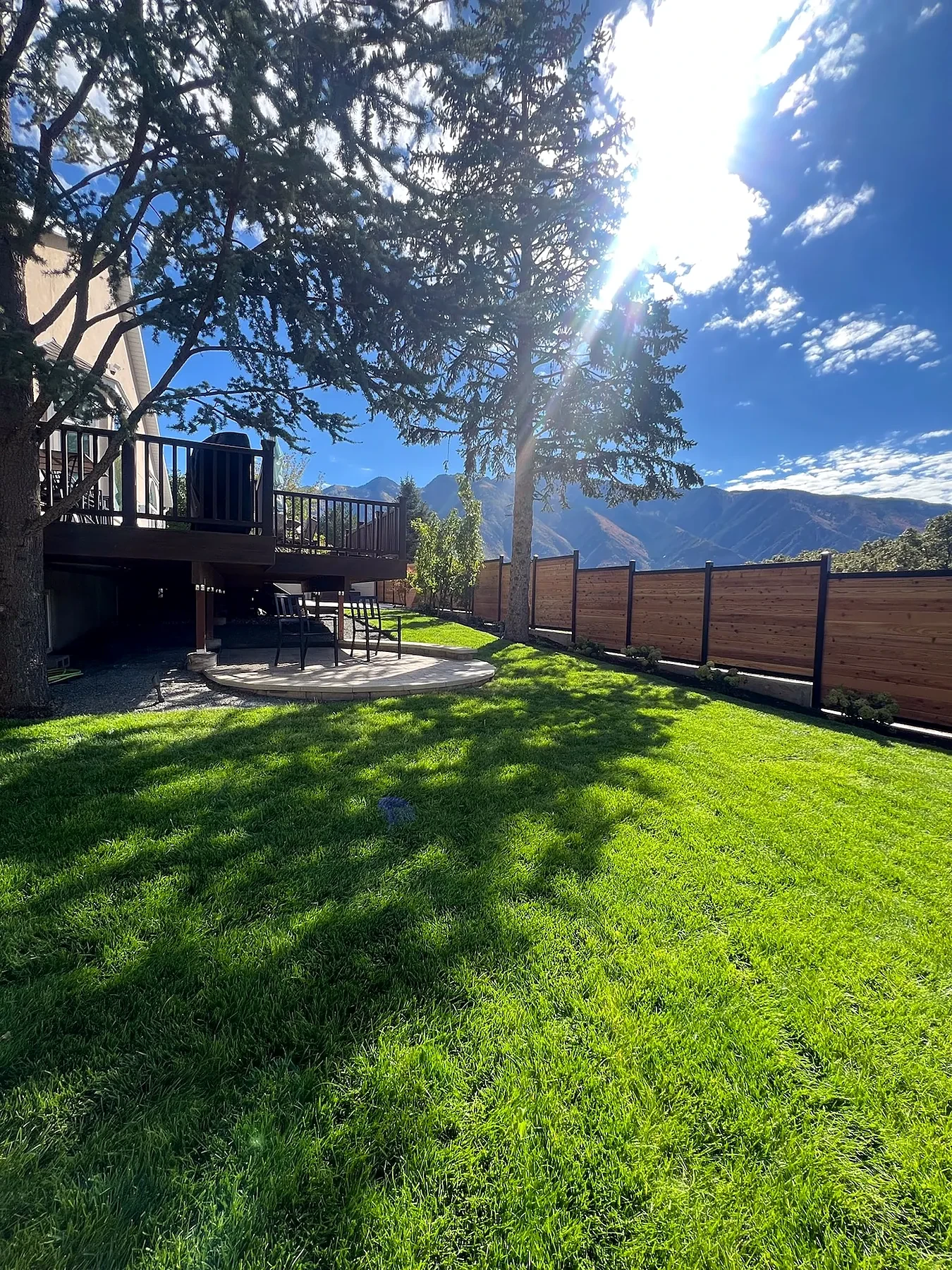 Sandy backyard lawn, cedar privacy fence, and Wasatch mountain view
