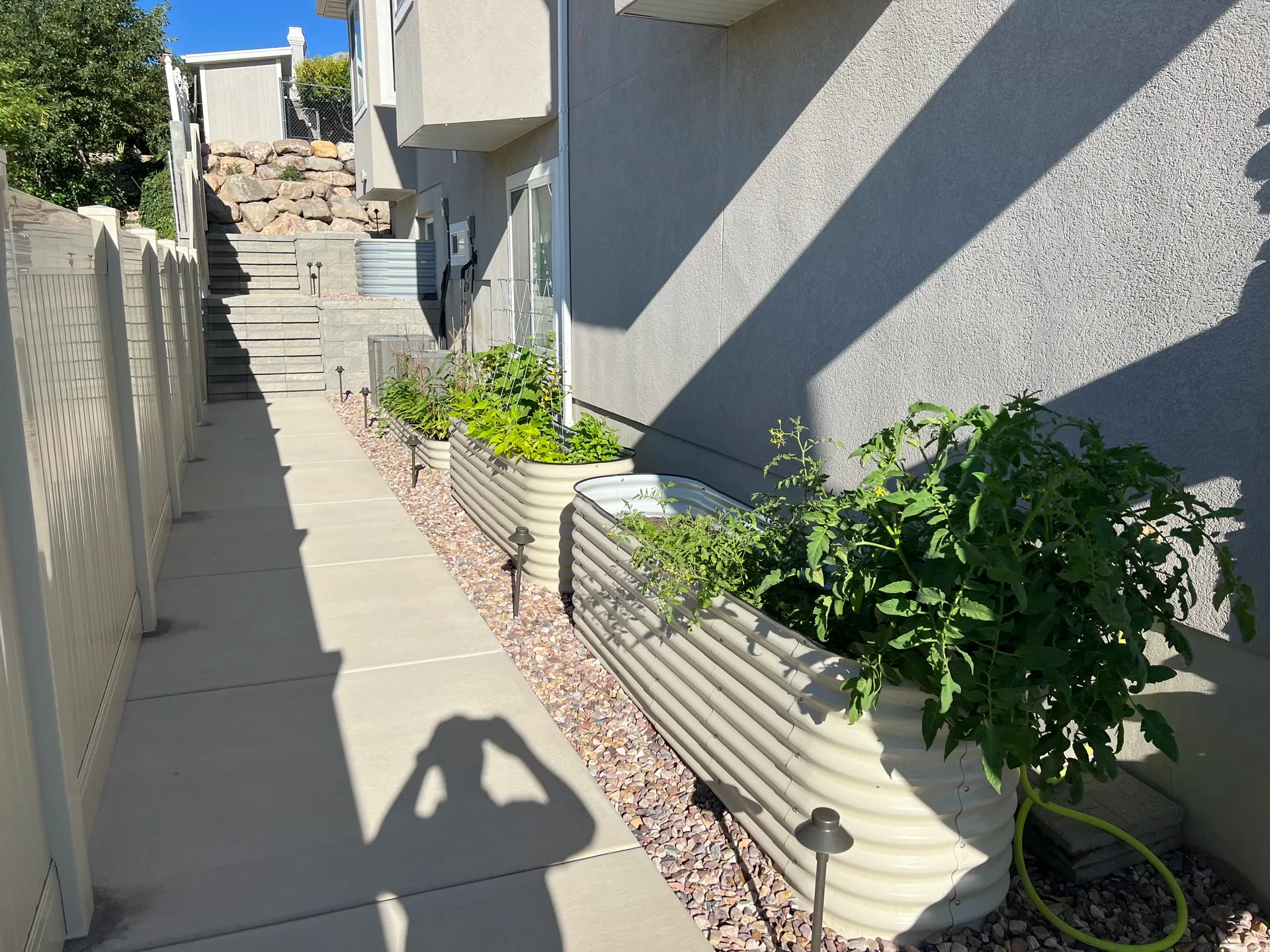Custom garden planters with edible plants beside a concrete walkway in South Jordan, Utah.