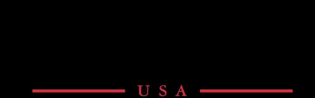 Videl USA logo